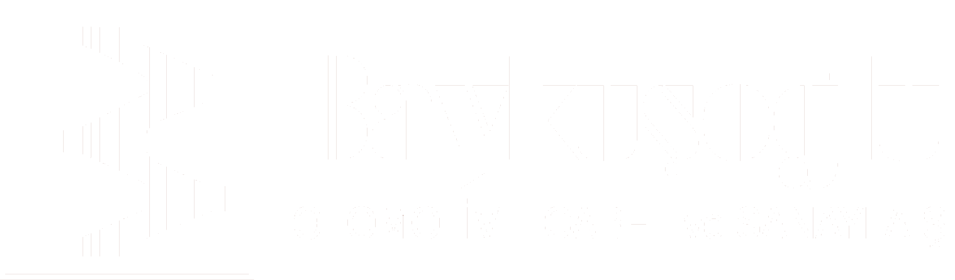 Baykuşoğlu Otomotiv
